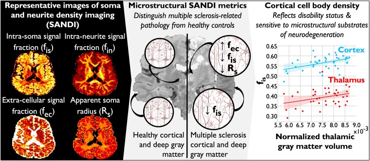 Graphical abstract