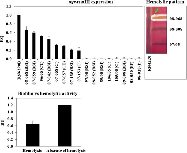 Figure 5