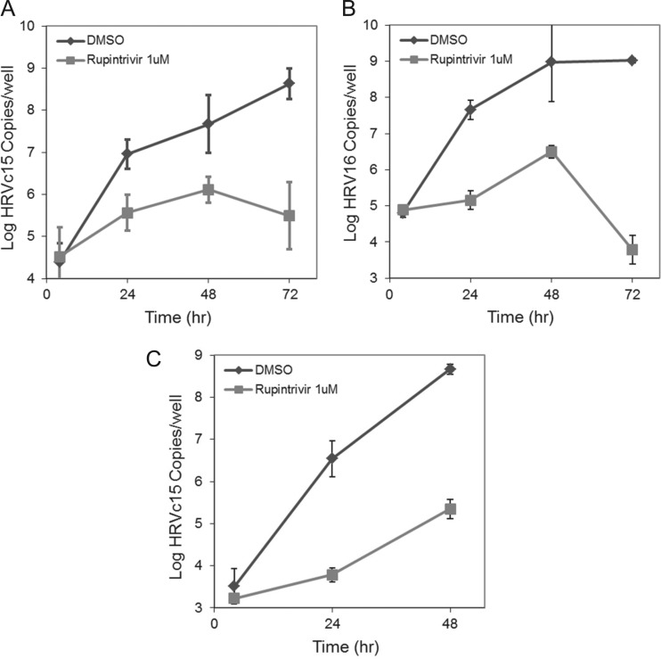 FIG 6