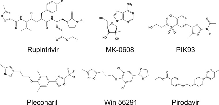 FIG 1