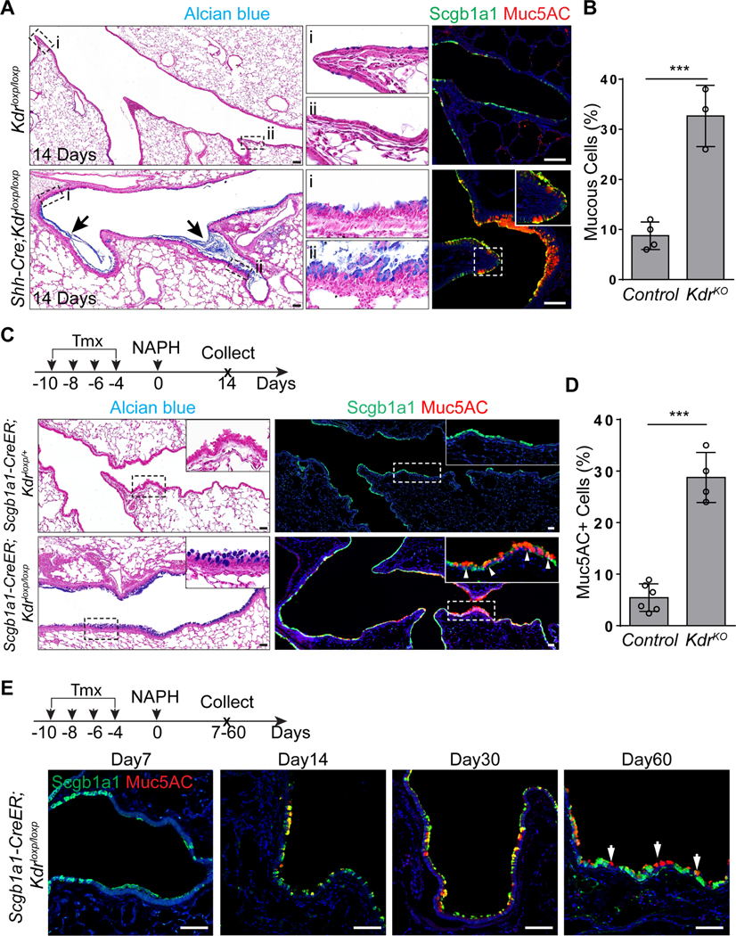 Figure 2: