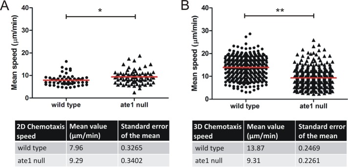 FIGURE 6: