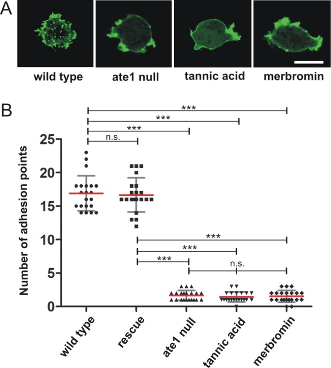 FIGURE 4: