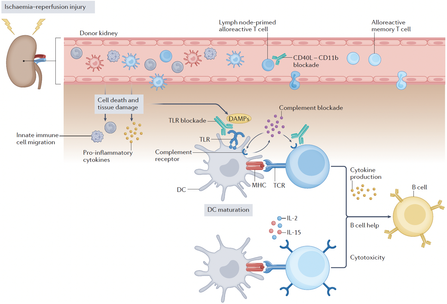 Figure 3-