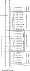 FIG. 2.