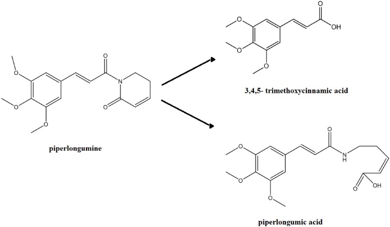 Fig 12