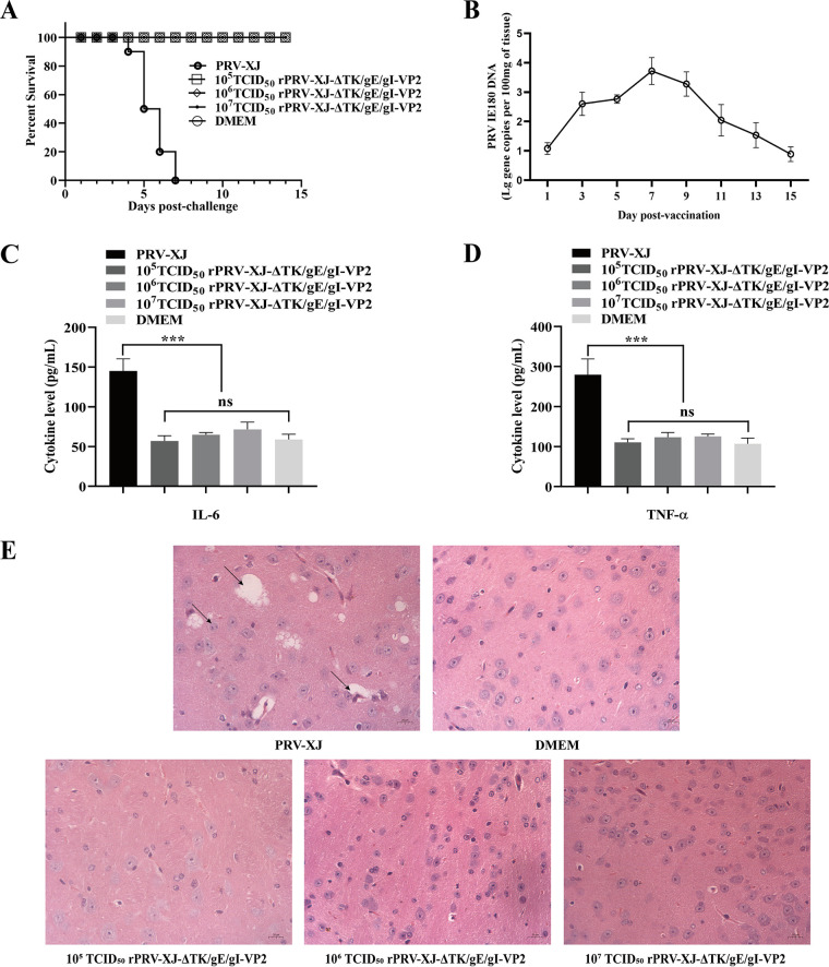 FIG 3