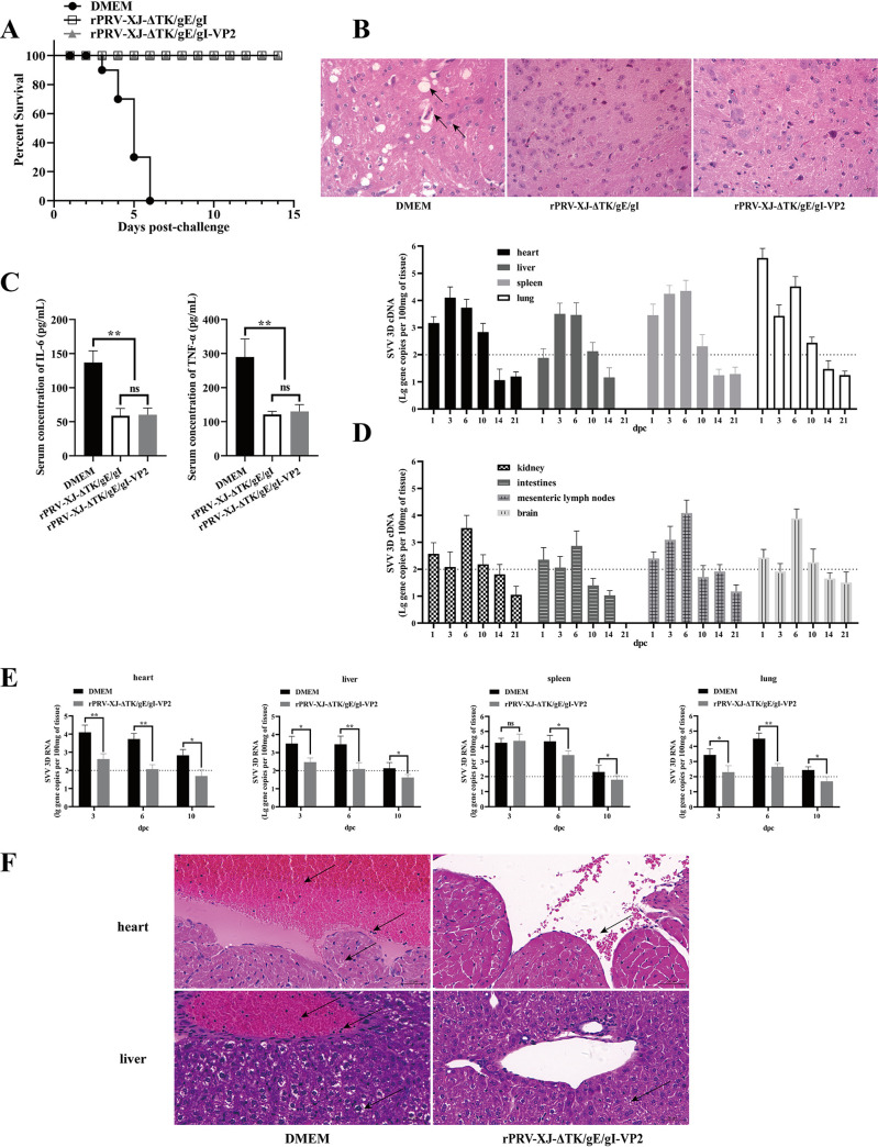 FIG 6