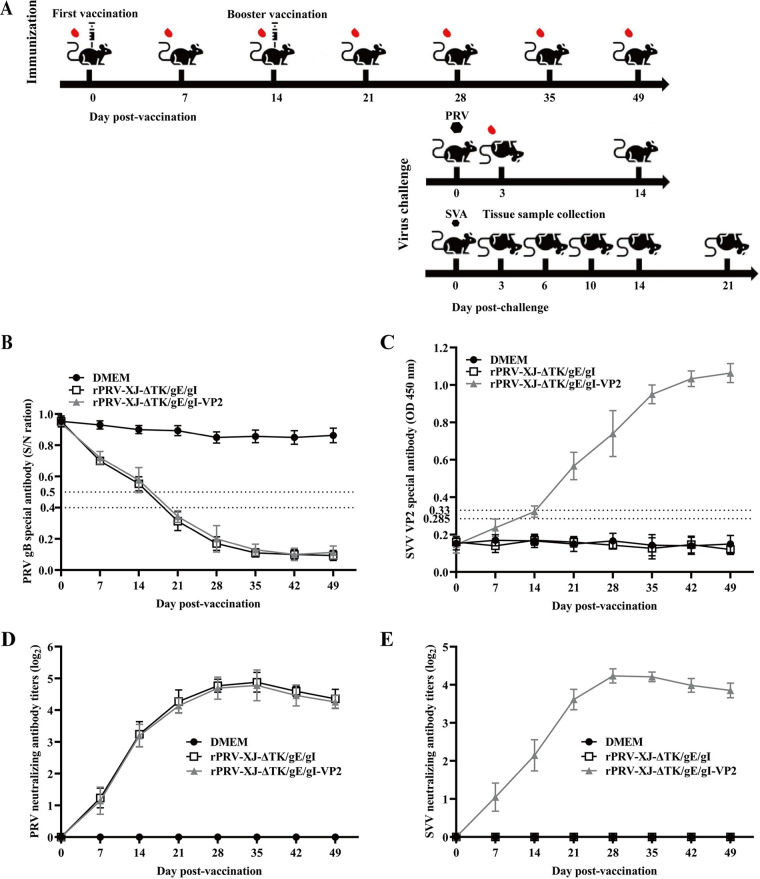 FIG 4