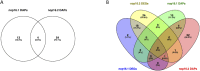 Fig 8