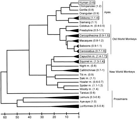 Figure  2