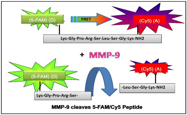 Fig. (1)