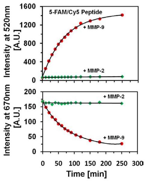 Fig. (6)