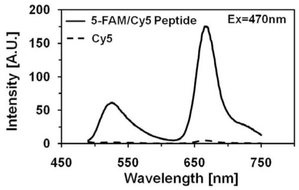 Fig. (3)