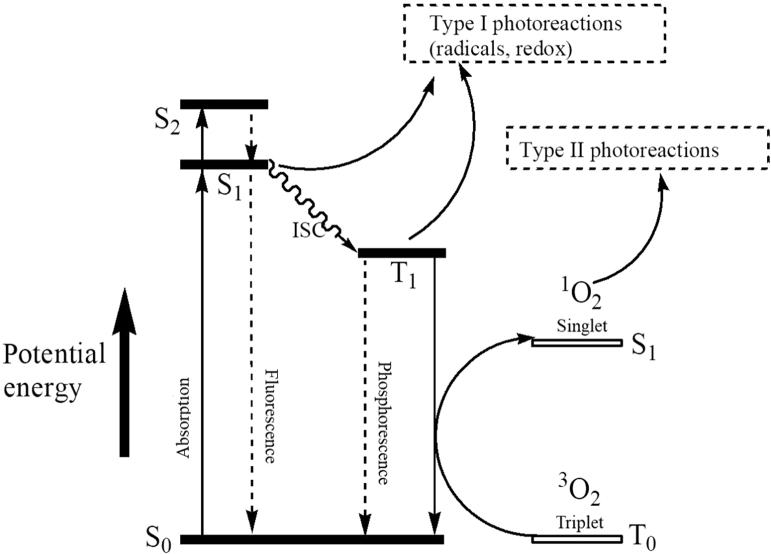 Fig. 1