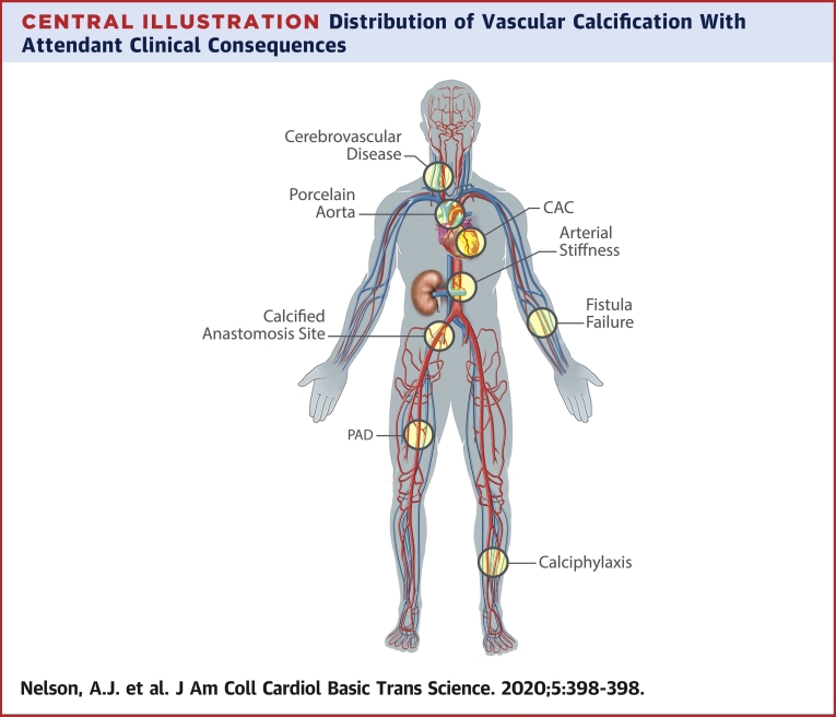 Central Illustration