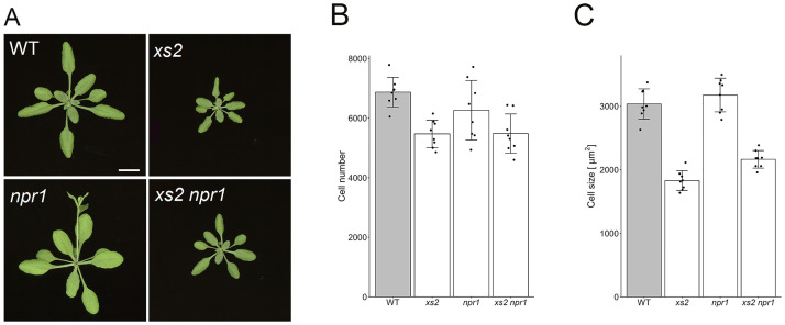 Fig 5