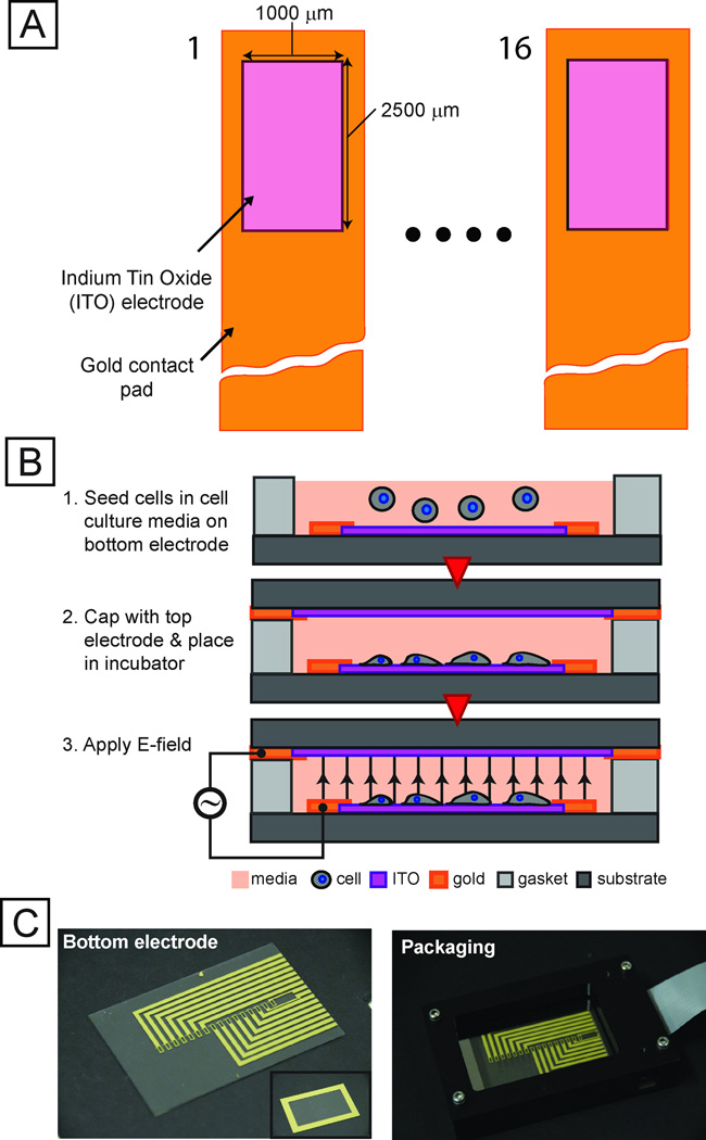 Fig. 2