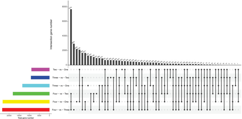 Fig. 7