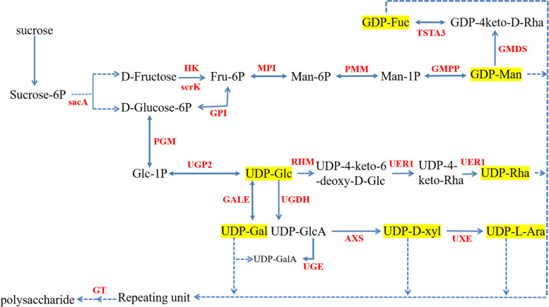 Fig. 3