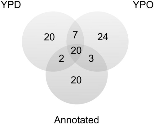 Fig. 6