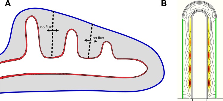 Fig. 5.