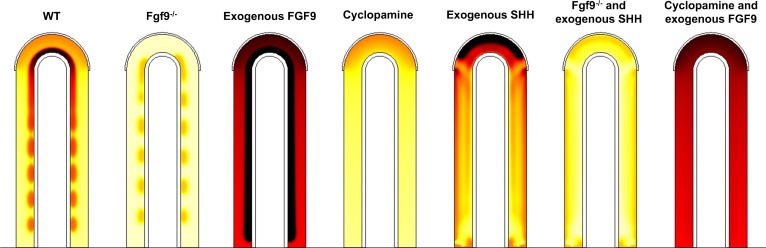 Fig. 7.