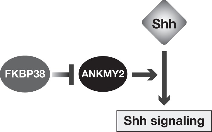 FIGURE 10.