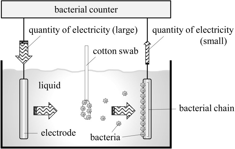 Fig. 3.