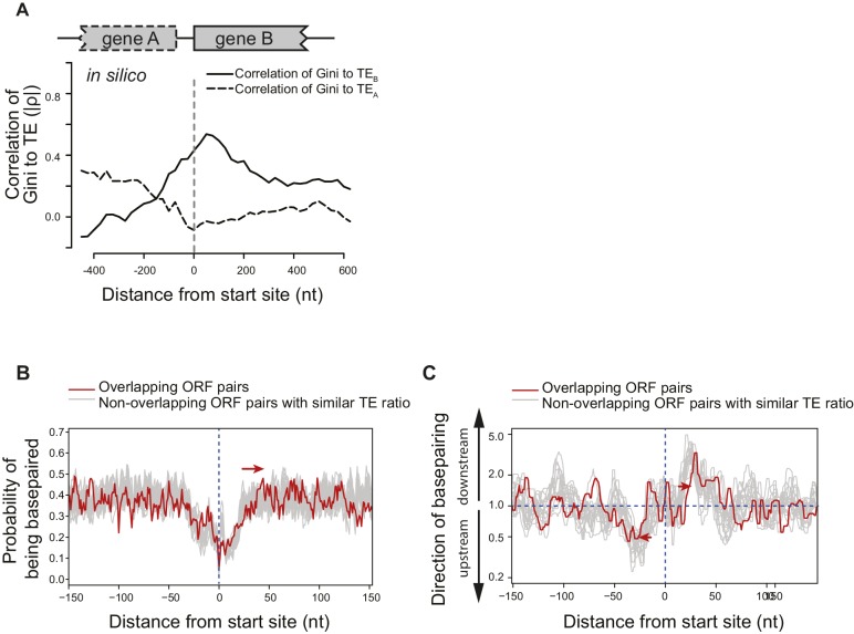 Figure 5—figure supplement 1.