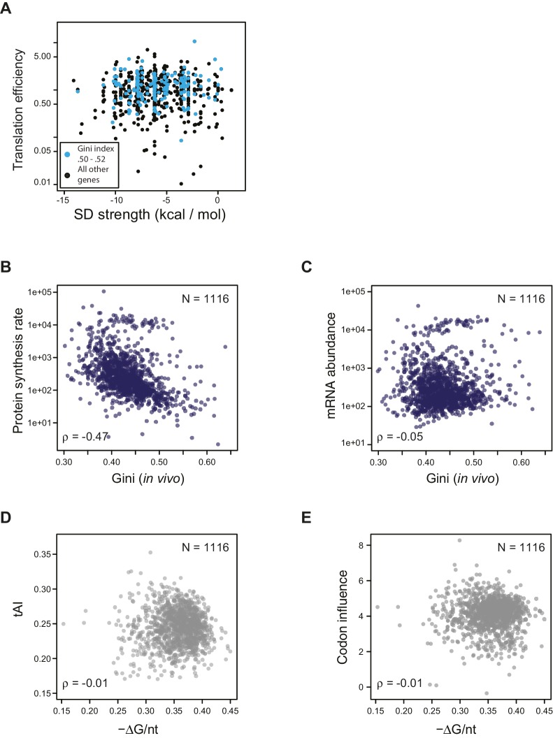 Figure 4—figure supplement 1.