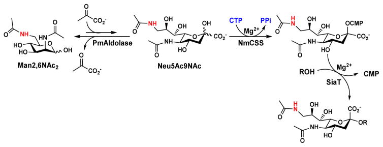 Scheme 1