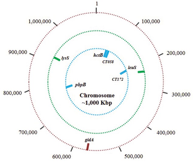 Figure 7