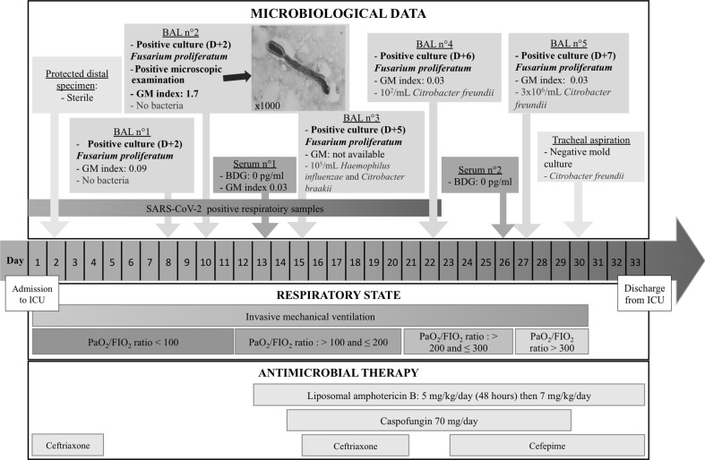 Fig. 1