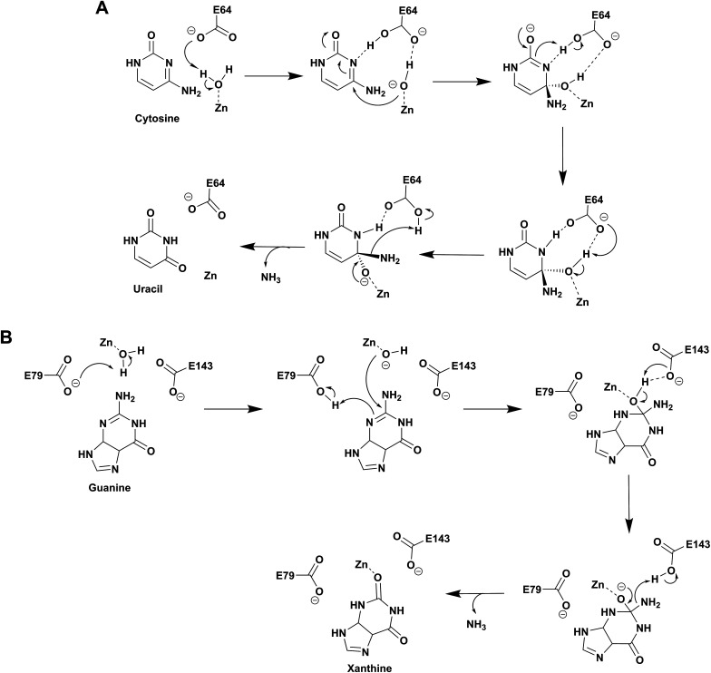 Scheme 2