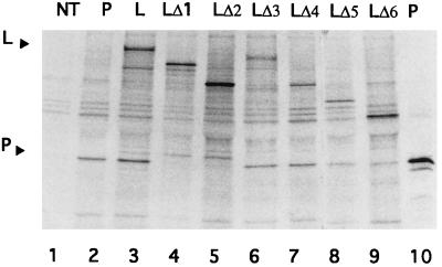 FIG. 6