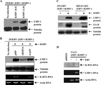 FIG. 7.