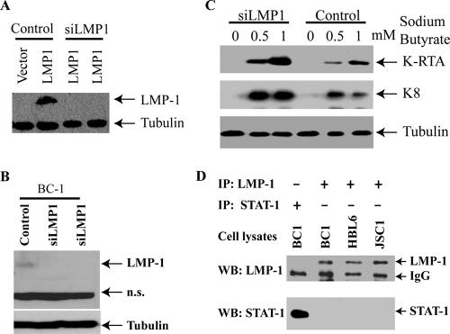 FIG. 6.