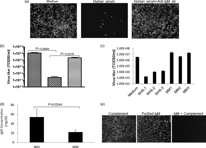 FIG 3