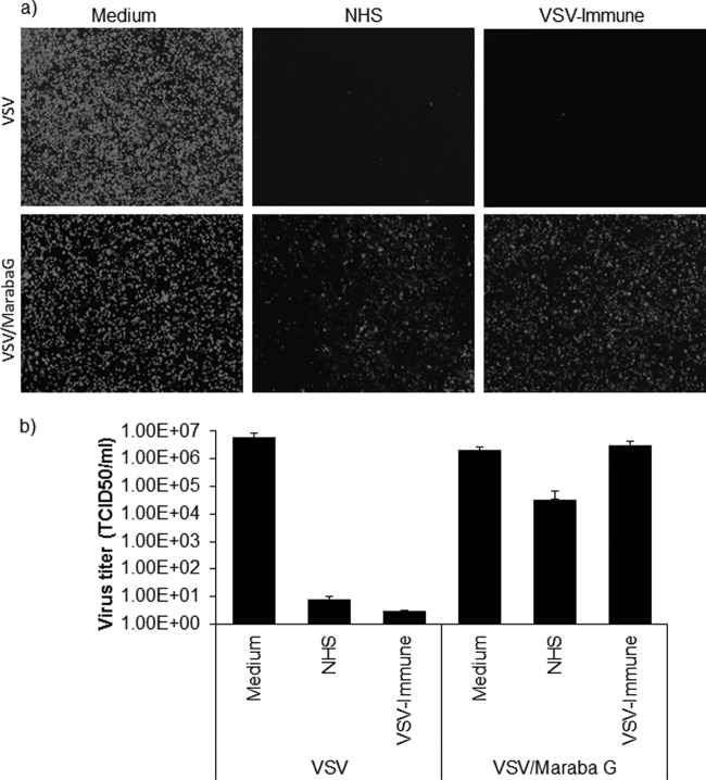 FIG 6