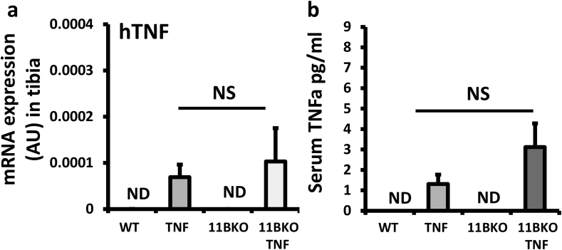 Supplementary Fig. 1