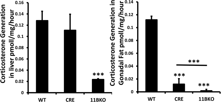 Supplementary Fig. 5