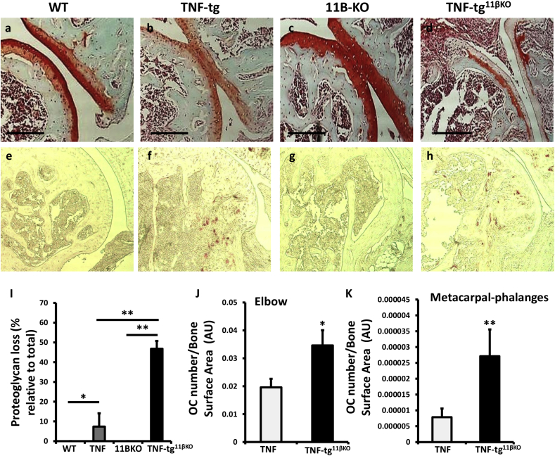 Supplementary Fig. 2