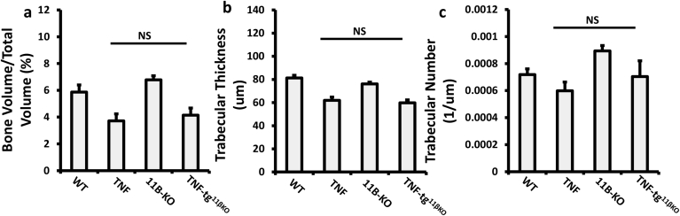 Supplementary Fig. 4