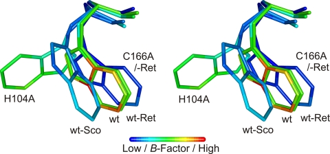 FIGURE 4.