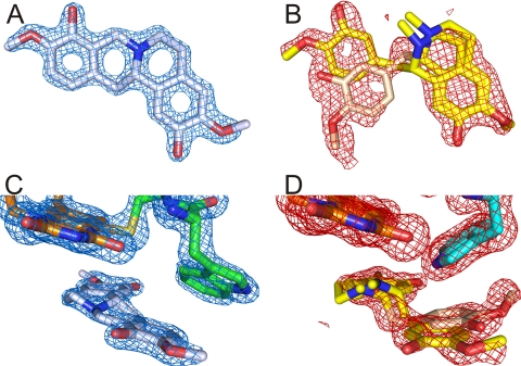 FIGURE 5.