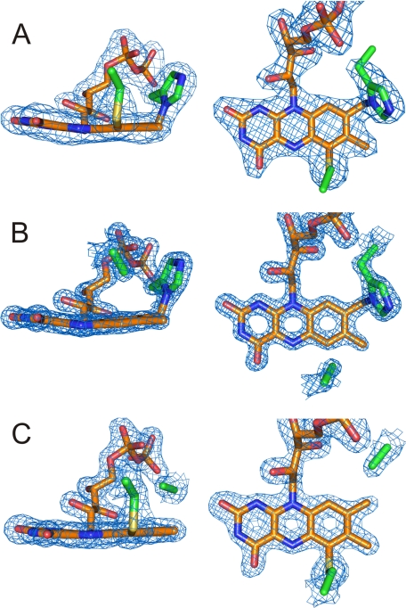 FIGURE 2.