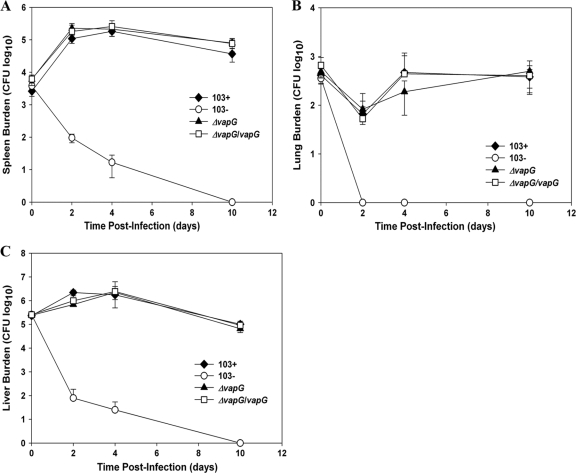 FIG. 8.