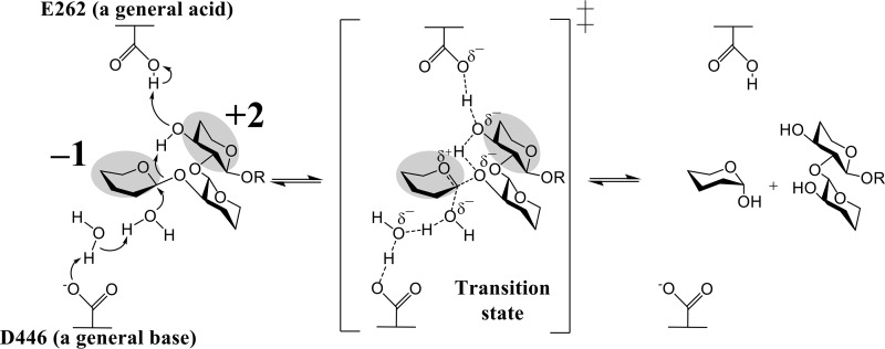 Figure 13.