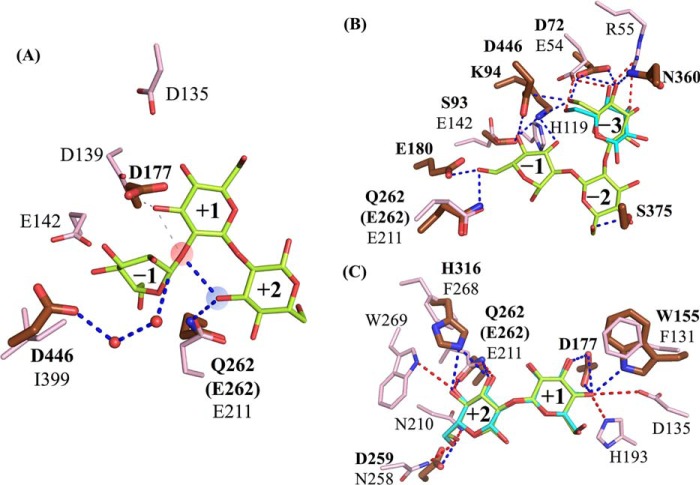 Figure 16.